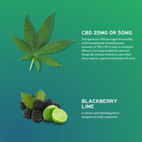CBD Gummies for Daily Support - Full-Spectrum