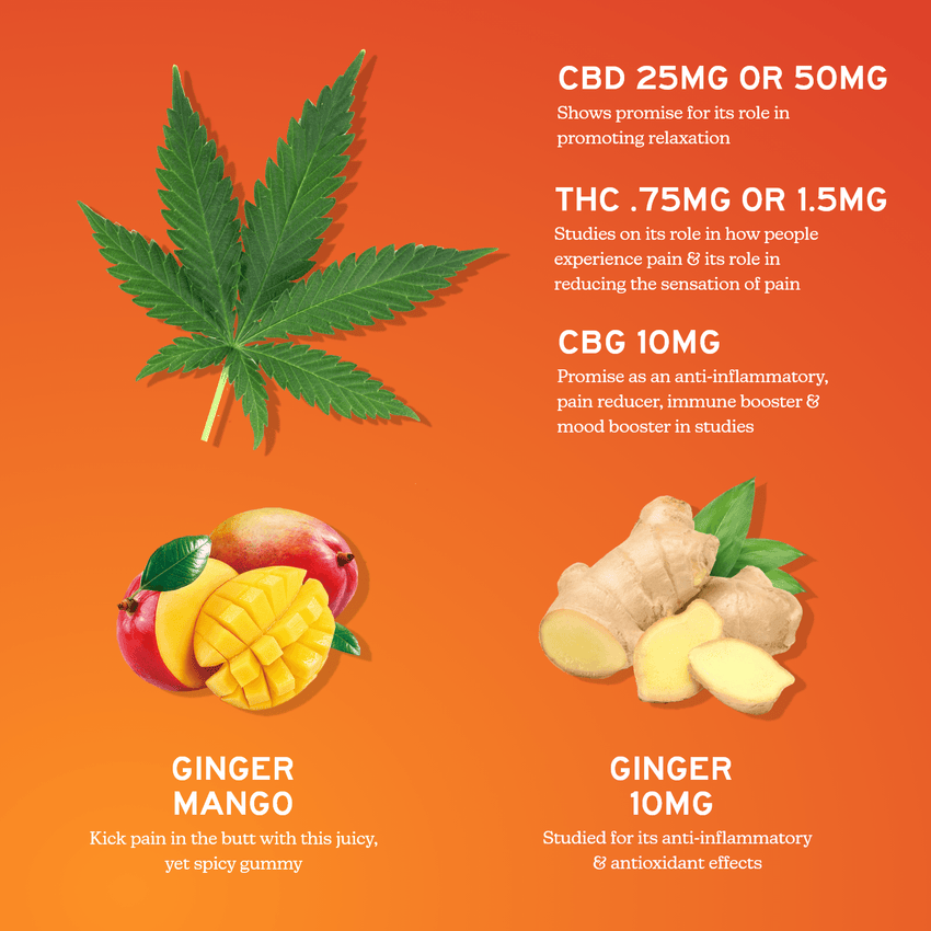 CBD Gummies for Soothing Relief with CBG