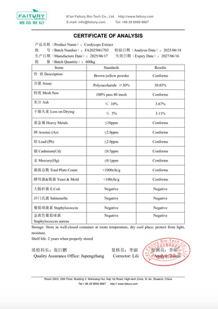 Dr Watson Energise Mushroom Complex - 60 Caps