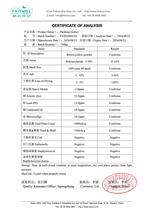The Shroom Shop Phellinus 90000mg Powder