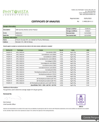Purity 1000mg Full-Spectrum CBD Vegan Gummies 400g